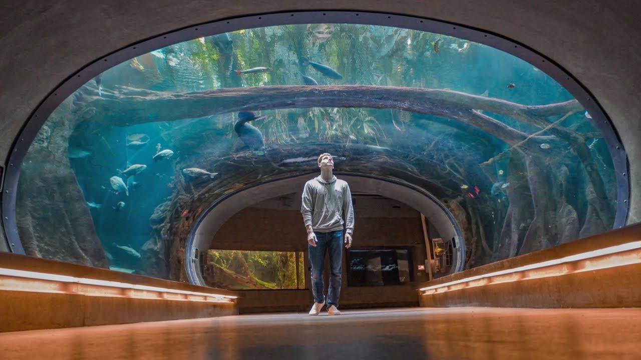 seattle_aquarium_1
